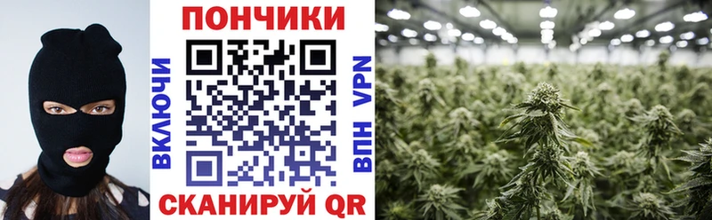 Наркошоп купить Псилоцибиновые грибы  МЕФ  COCAIN  ГАШИШ  Каннабис  Alpha PVP  Городец