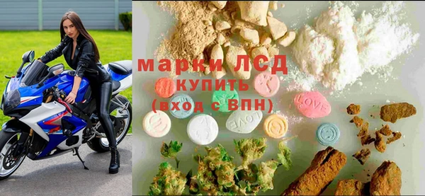 спиды Инсар