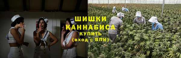 спиды Инсар