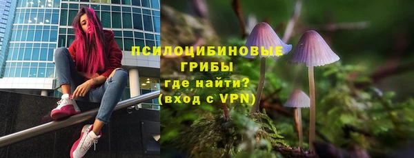 гидропоника Зеленодольск
